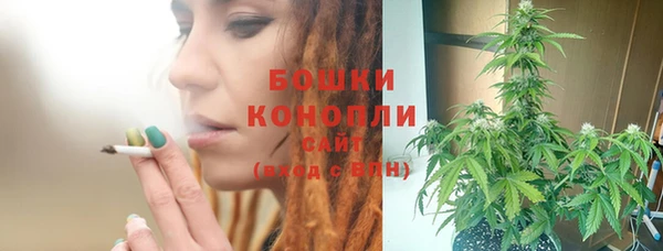 стаф Волосово