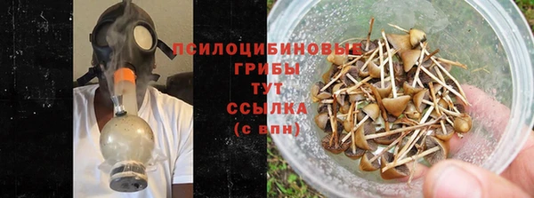 a pvp Вяземский